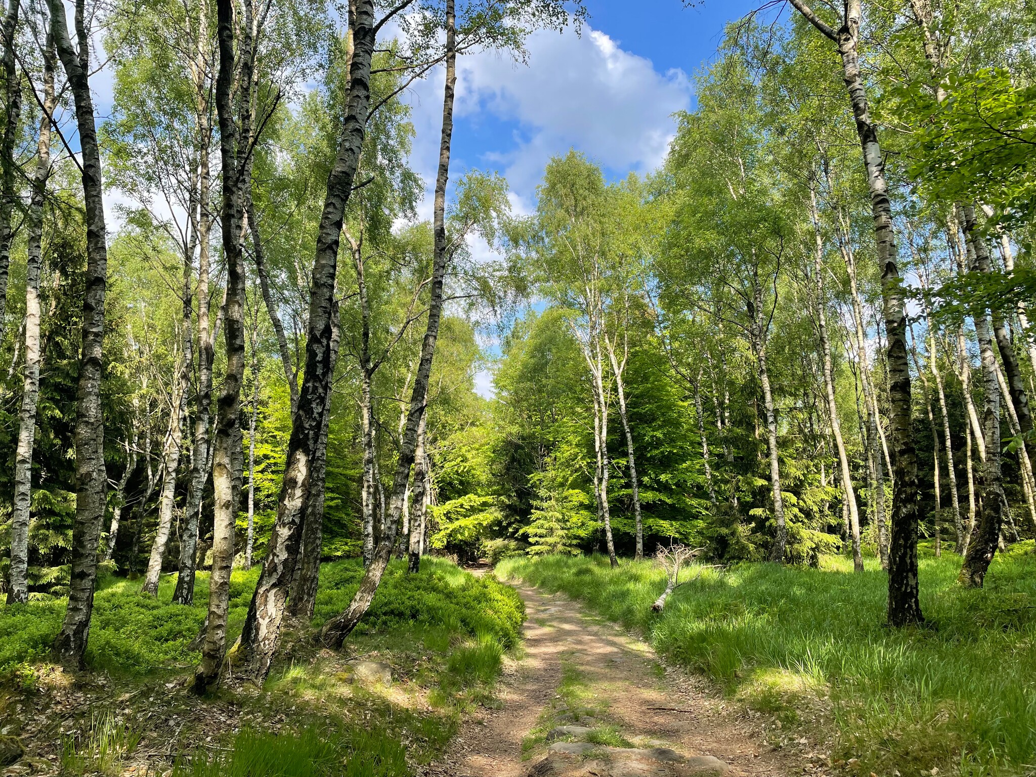 Birkenwald Paartherapie